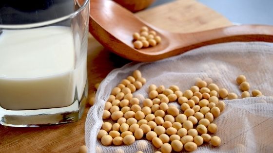 大豆に含まれる栄養素と日本人の摂取目安量について