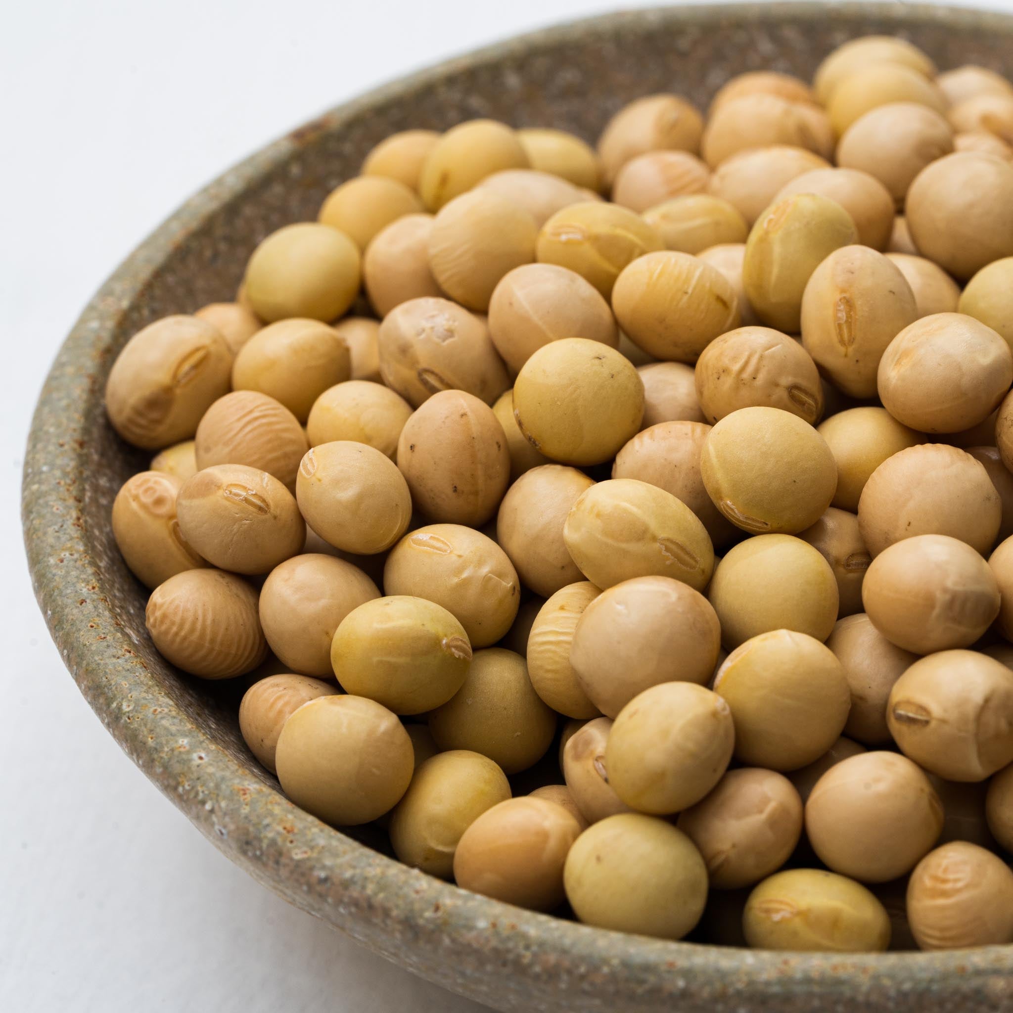 SOYMIL KIT まんぞくプラン(1kg マンスリープラン)