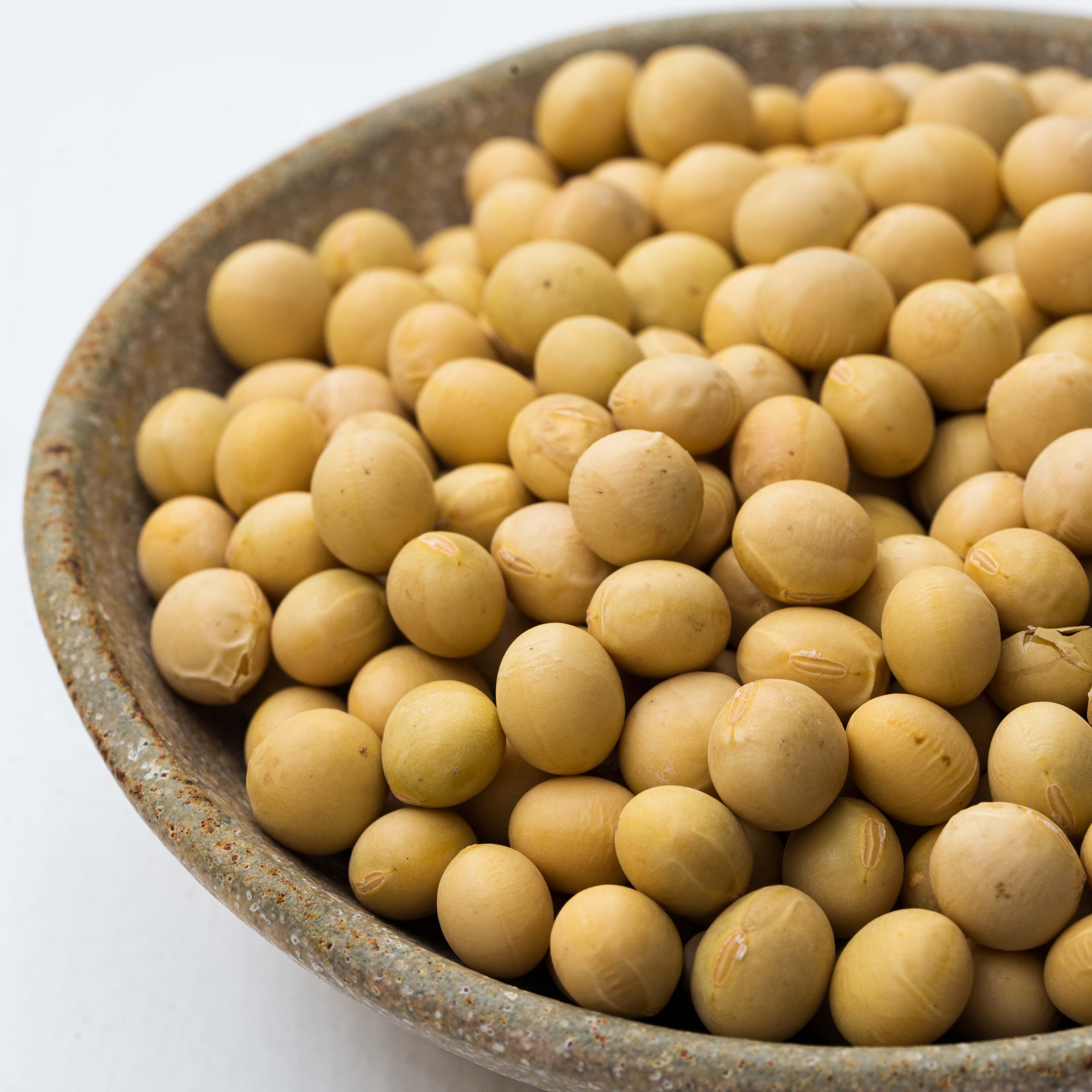 SOYMIL KIT ライトプラン(200g マンスリープラン)