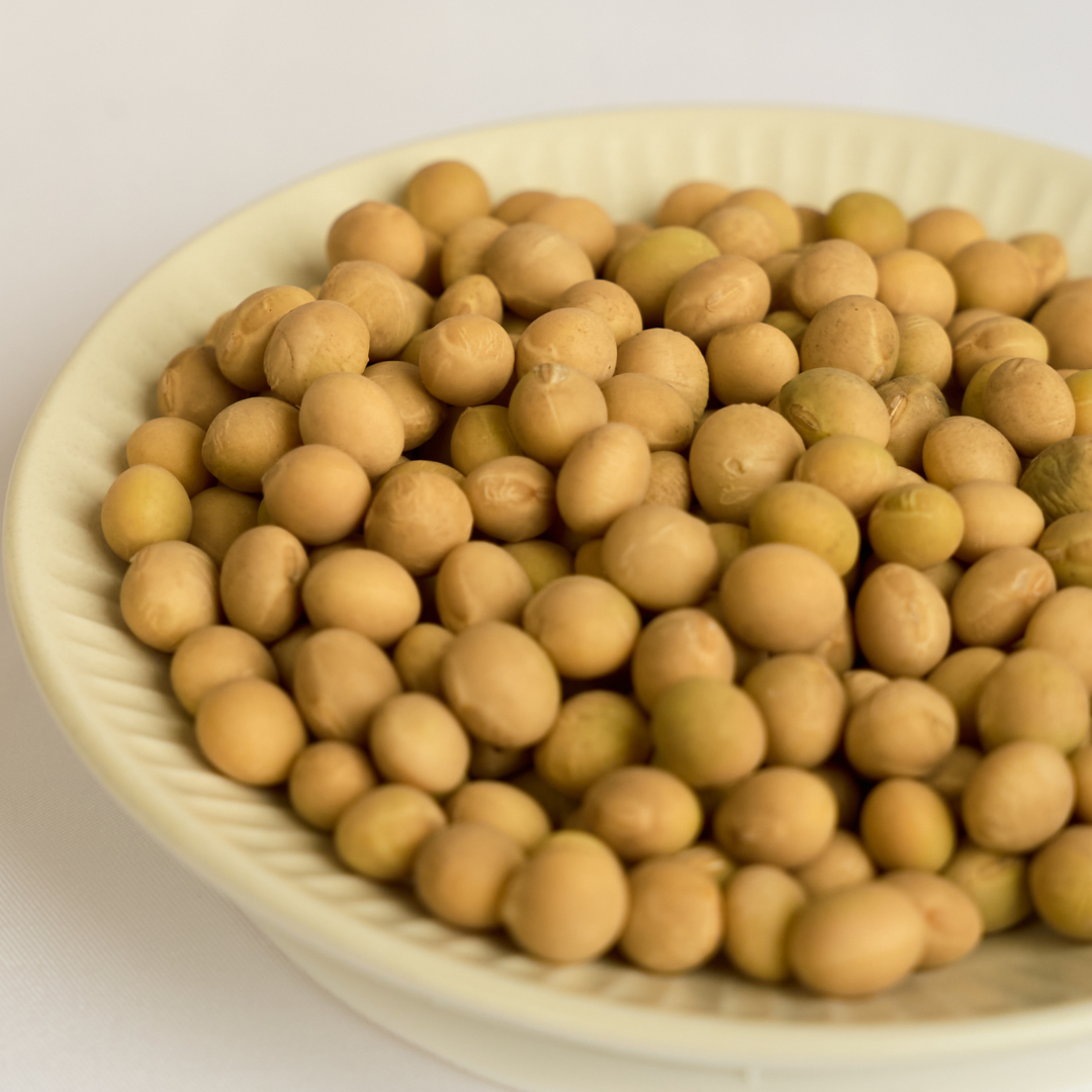 今月のSOYMIL KIT 金砂郷在来青御前(2026年2月)