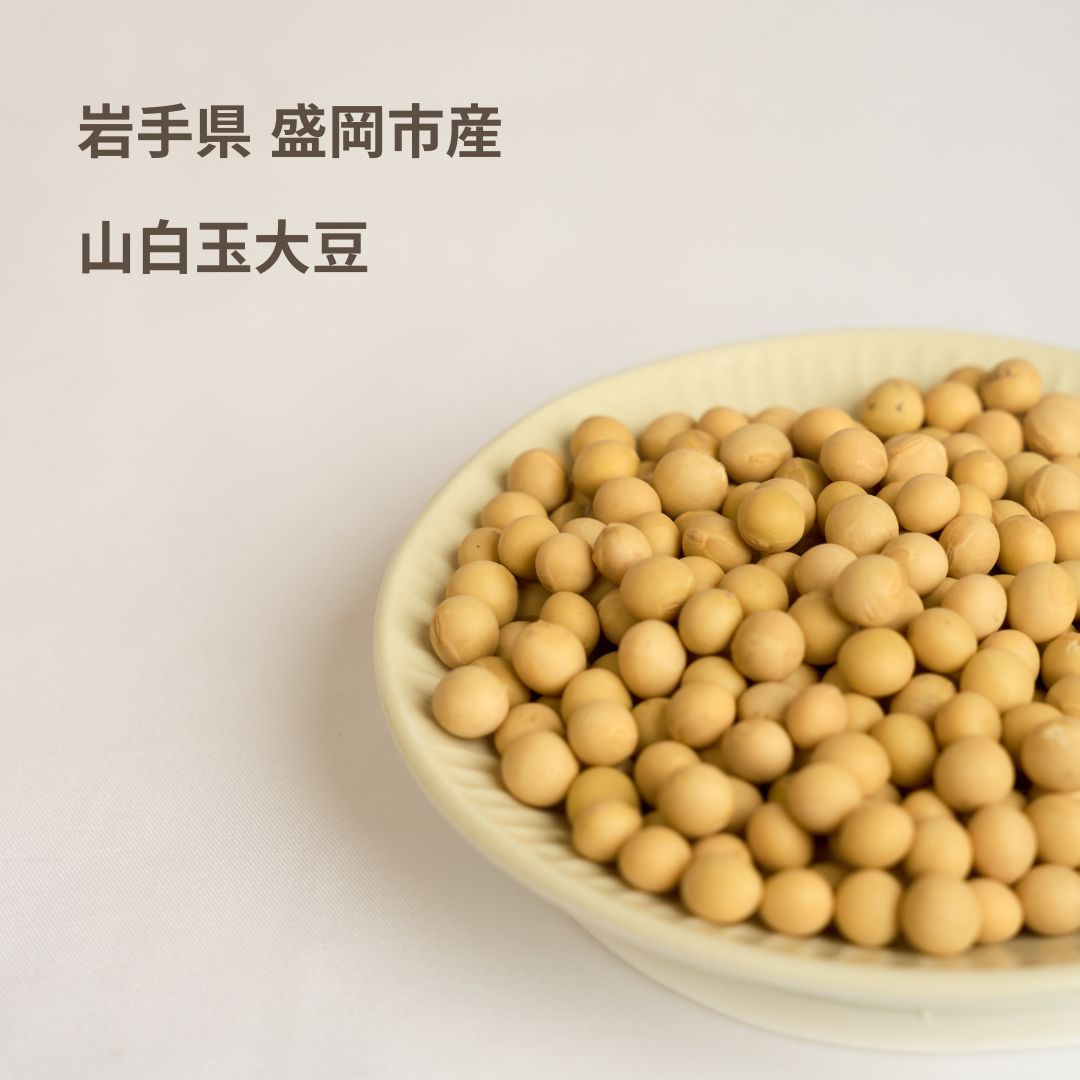 【豆乳専用大豆】5種類から選べるSOYMIL KIT 【25回分(1㎏)】