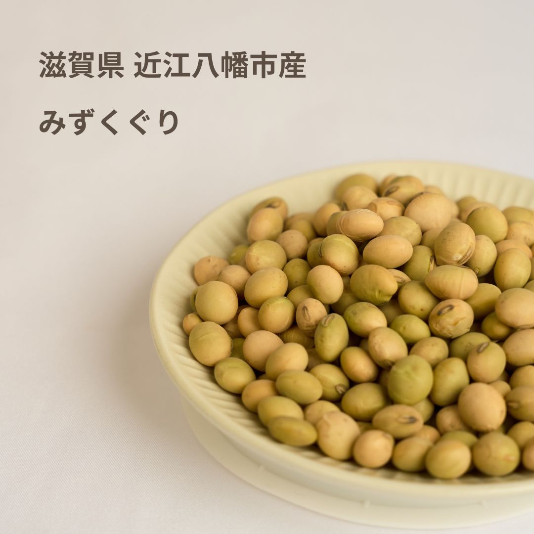 豆乳専用大豆】5種類から選べるSOYMIL KIT 【25回分（1㎏）】