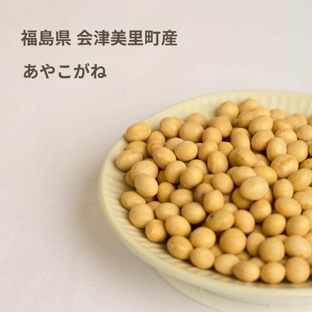 【豆乳専用大豆】5種類から選べるSOYMIL KIT 【25回分（1㎏）】